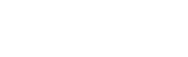 Flashnet Logo